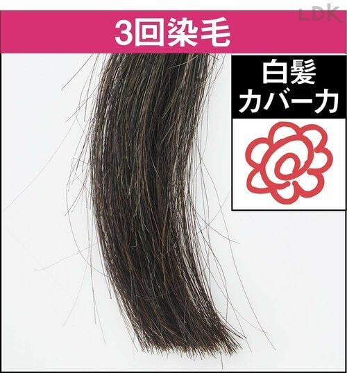 3回染毛 白髪染めトリートメントおすすめ イメージ