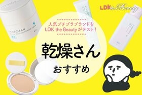 【LDK公式】乾燥さんのおすすめ4選。人気商品を徹底テスト