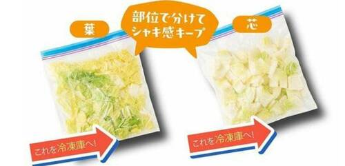 冷凍術:葉と芯を分けて水けを拭き取りざく切りにする 野菜の冷凍保存方法おすすめ イメージ