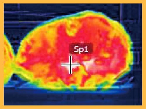 After やきいもトースターおすすめ イメージ2