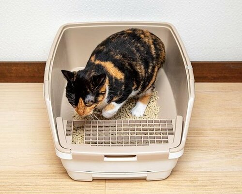 スノコ付きでネコ砂が飛散しにくい 猫用トイレおすすめ イメージ