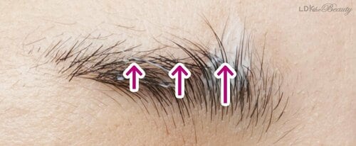ステップ1：クリームで毛を上向きに ガタガタ眉＆尻なし眉おすすめ イメージ