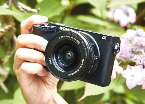 ミラーレスの最新機種はいずれもハイレベル!