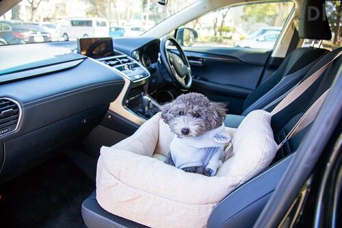 犬用ドライブボックスとは? 使うメリット 犬用ドライブボックスおすすめ イメージ