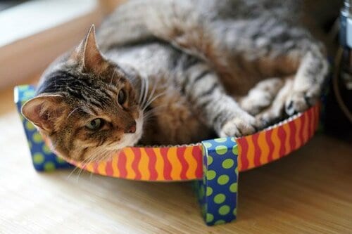 気分屋の猫ちゃんでもOK！ ツメ研ぎ&昼寝用ベッドです イメージ