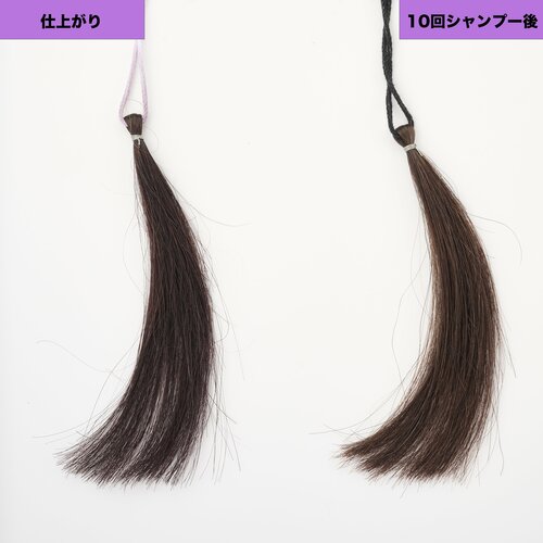 誰にでも似合いそうなカラー パープル（紫）のヘアカラーおすすめ イメージ