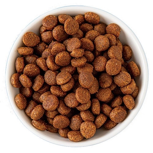 グレインフリーキャットフードおすすめ パーパス ロングライフ ウィッシュ ワイルドキャットS チキン&ターキー イメージ2