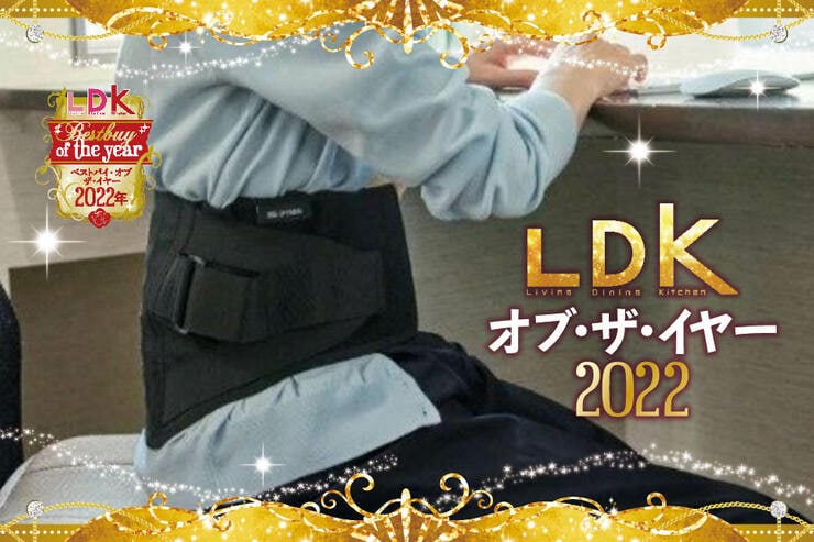 腰痛対策コルセットはアイリスオーヤマ。デスクワークを一時的にラクに！【LDKベストバイ2022】