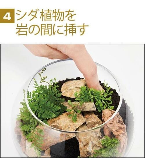 コケリウム初挑戦でも15分でできる！ イメージ4