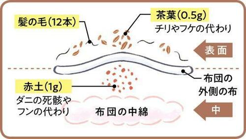 ▼具体的な検証方法はコチラ イメージ