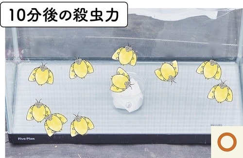 10分 ゴキブリ対策グッズおすすめ イメージ