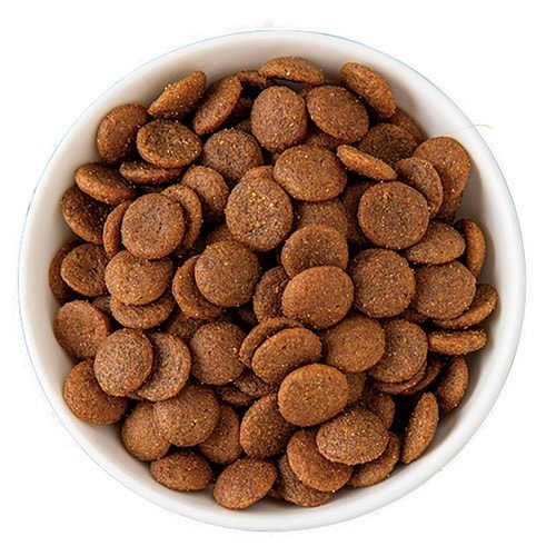 グレインフリーキャットフードおすすめ スマック フローラケア チキン味 イメージ2