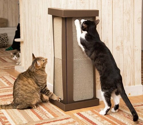 コーナー型 猫用爪とぎおすすめ イメージ