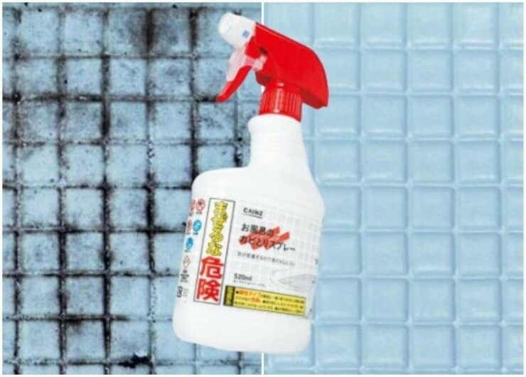 【カインズ】お風呂掃除の強い味方！ カビを根こそぎ落とす「カビとりスプレー」が優秀です｜『LDK』が紹介