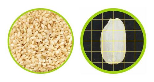 精米前の状態 精米器おすすめ イメージ