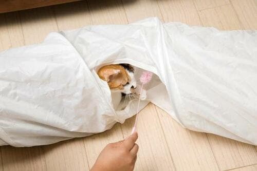 イケア「ルールヴィグ プレイトンネル ネコ用」3