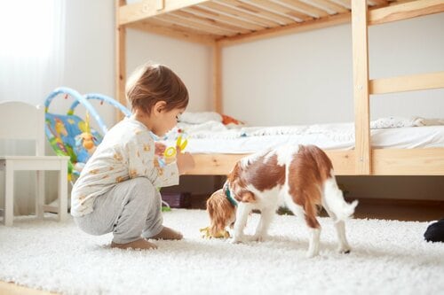 ニトリでおすすめの二段ベッド イメージ