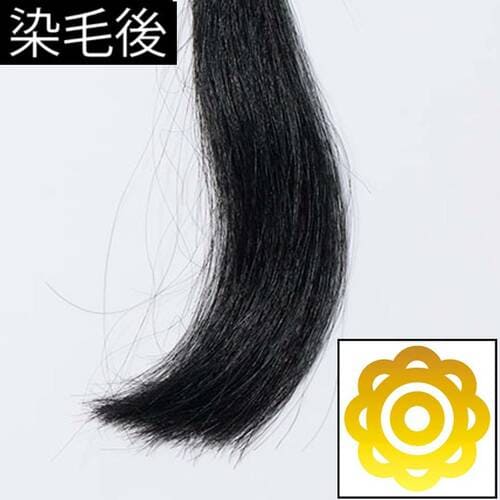 染毛後 メンズ白髪染めおすすめ イメージ