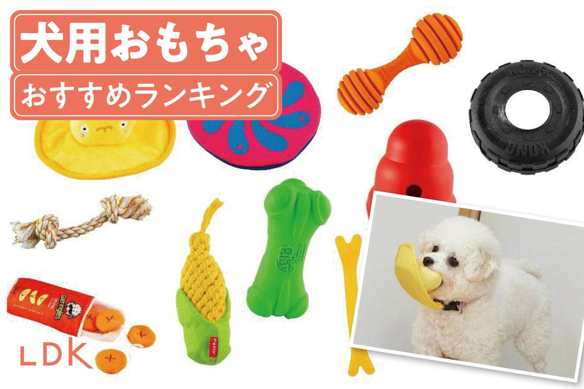 犬のおもちゃ　12個セット　中型犬　大型犬　小型犬　ペティオ　コング　フリスビー 619WX4ZZUqL._AC_UL210_SR210,