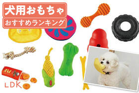 【2025年】犬用おもちゃのおすすめランキング19選。知育玩具など人気商品をドッグトレーナーと比較