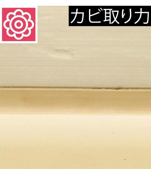 カビ取り力 カビ取りスプレーおすすめ イメージ