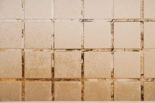 カビ掃除は、もう古い！“生えなく”させるのが最新です イメージ