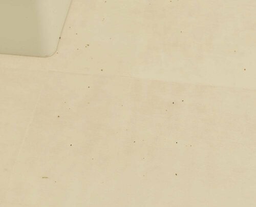 クッションフロア：吸引率96.4％ ロボット掃除機おすすめ イメージ