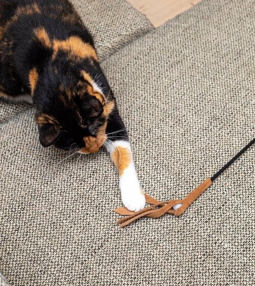 ▼テスト結果 猫用おもちゃおすすめ イメージ