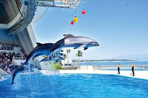 “九州の海”をテーマにした「マリンワールド海の中道」