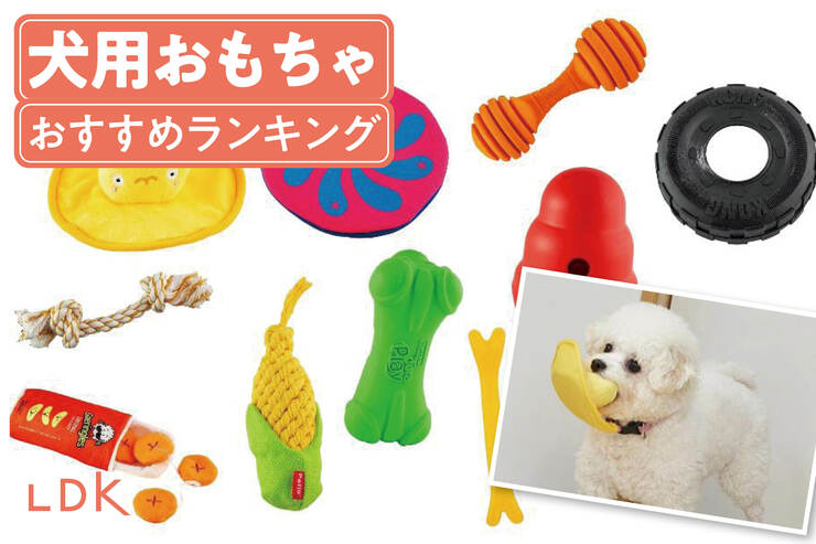 【2025年】犬用おもちゃのおすすめランキング19選。知育玩具など人気商品をドッグトレーナーと比較
