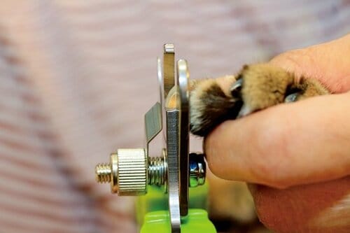 5位: 【C評価】大きめの作りなので男性や犬の爪切り向き イメージ3