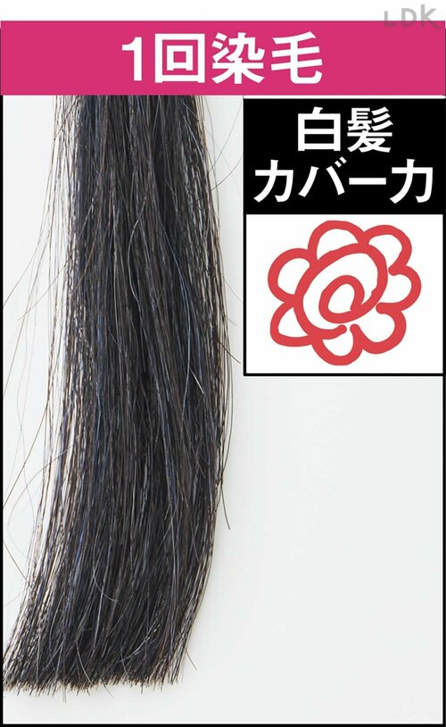 1回染毛 白髪染めトリートメントおすすめ イメージ