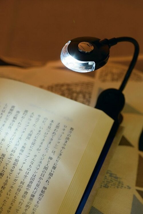 秋の夜長に読書の相棒