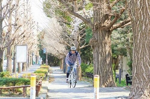 ④長距離移動での高速走行は安定しているか? 疲れにくいか?(20点)