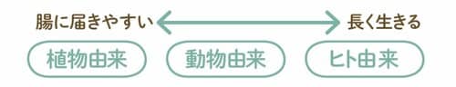 現代人に必須のスーパー機能食品!