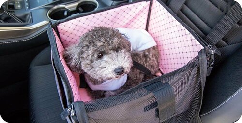 選び方2:快適性 犬用ドライブボックスおすすめ イメージ