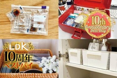 収納のプロが愛用する整理ケースは100均！ LDK編集部の溺愛