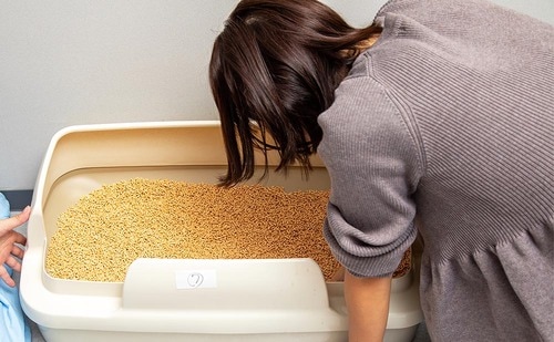オシッコの臭いは気にならない 猫用トイレおすすめ イメージ