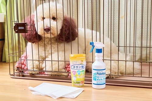 ペットのトイレトレイの掃除方法 ペット用お掃除シートおすすめ イメージ