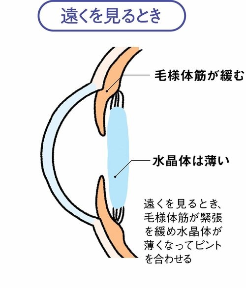 遠くを見るとき 老眼鏡おすすめ イメージ