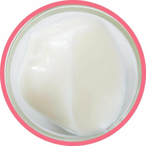 ヨーグルトおすすめ 榛名酪連 やさしいヨーグルト イメージ2