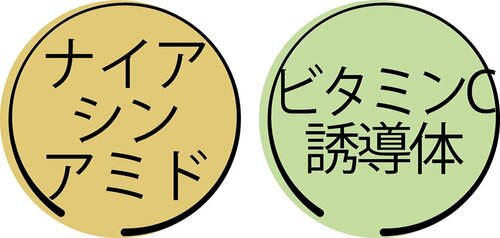 成分:保湿&美肌成分配合で満点評価 イメージ