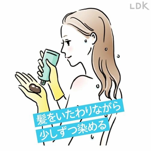 カラートリートメント 白髪染めヘアカラーおすすめ イメージ
