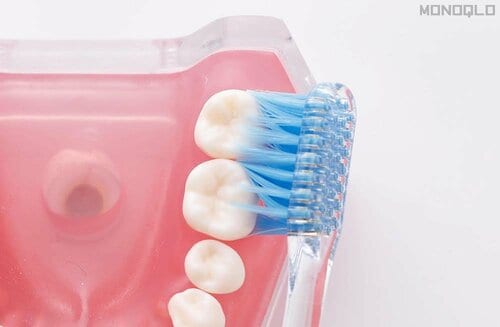 【磨きやすさ】スリムなヘッドで奥まで届きやすい 極細毛歯ブラシおすすめ イメージ2