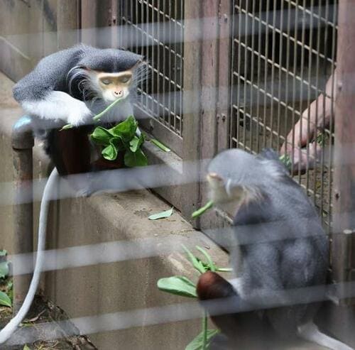 編集部員が「X-E4」で動物園を撮影！ イメージ