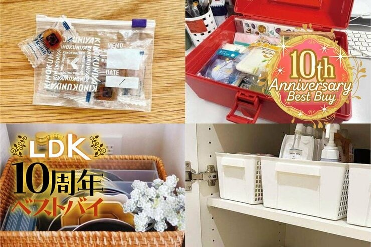 収納のプロが愛用する整理ケースは100均！ LDK編集部の溺愛収納アイテムおすすめ6選 