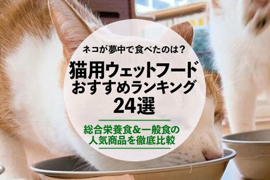 2023年】猫用ウェットフードのおすすめ24選。選び方のポイントを獣医師