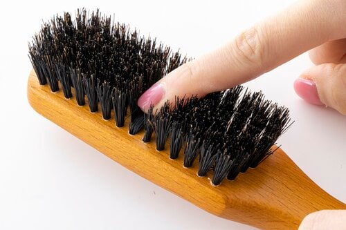 やわらかくて頭皮に優しい ヘアブラシおすすめ イメージ