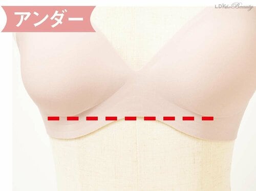 1：測る位置を確認 理想のブラジャー探し旅おすすめ イメージ2