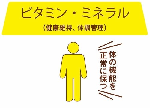 ビタミンやミネラル 豆乳鍋の素おすすめ イメージ